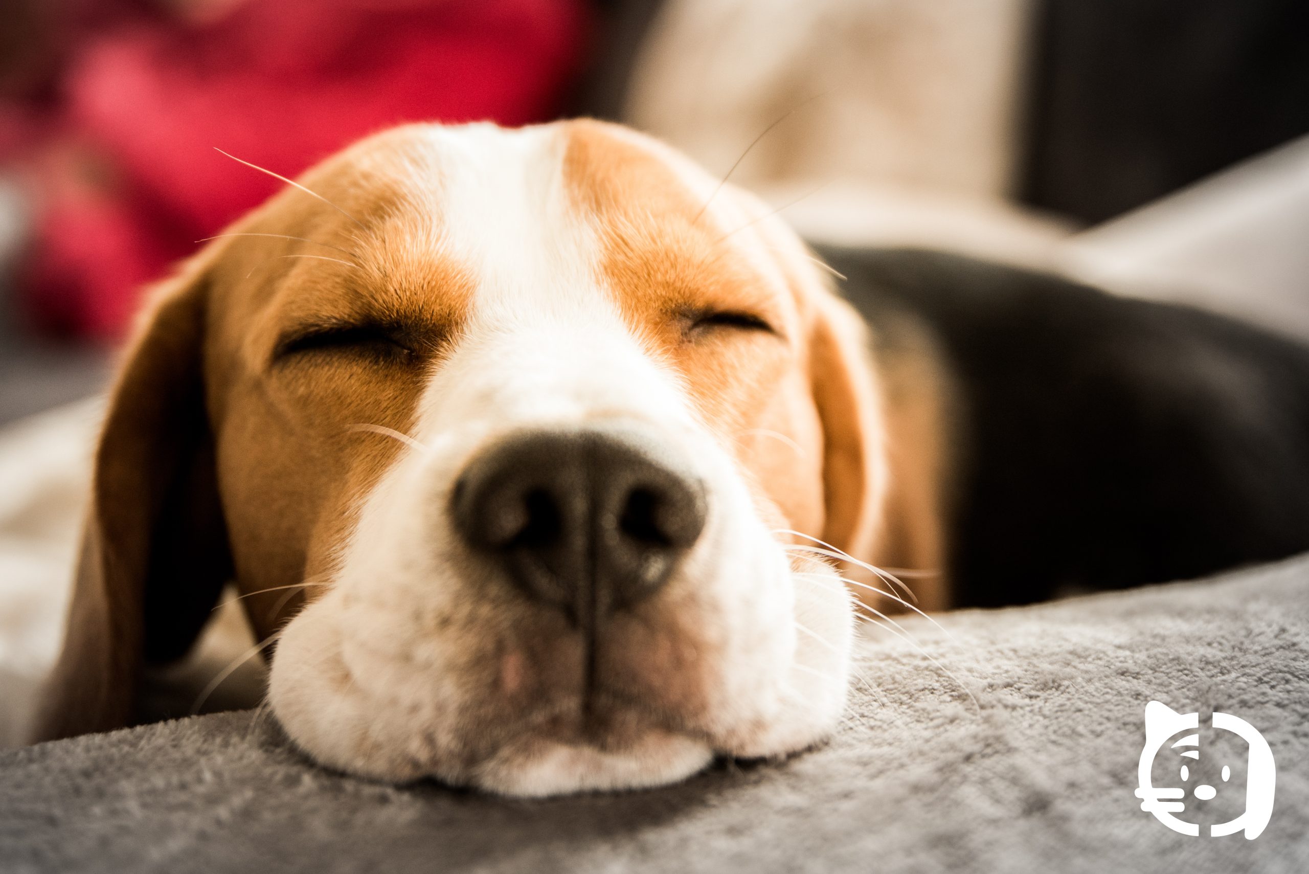 articulo-agosto-costa-calida