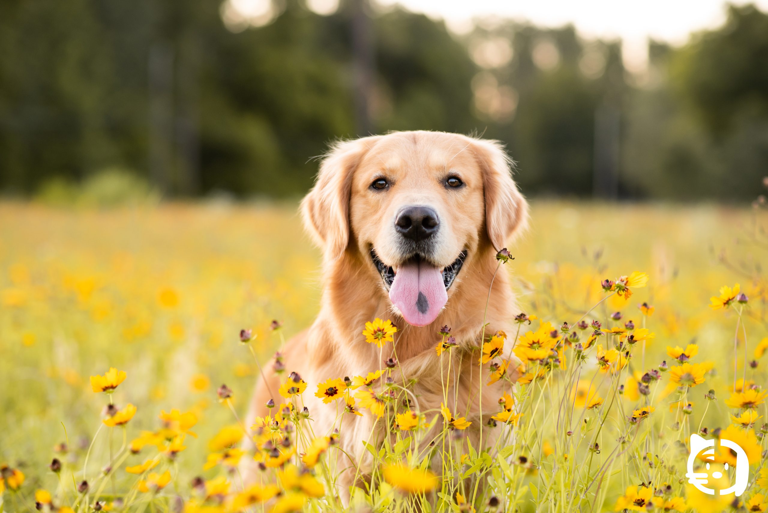 articulo-octubre-costa-calida