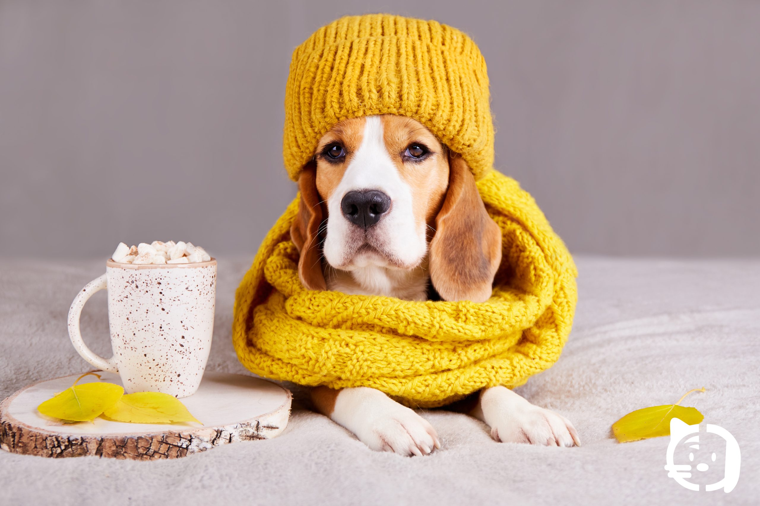 articulo-diciembre-costa-calida