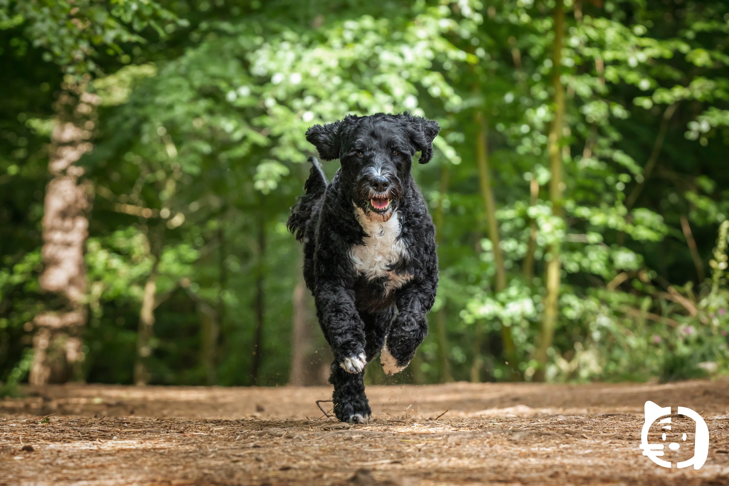 articulo-noviembre-costa-calida