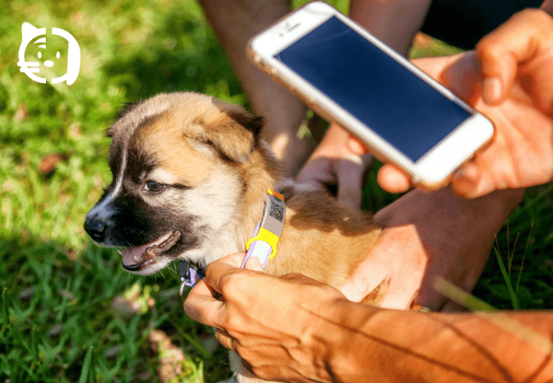 Tutor de perro usando su móvil con un app de salud para mascotas